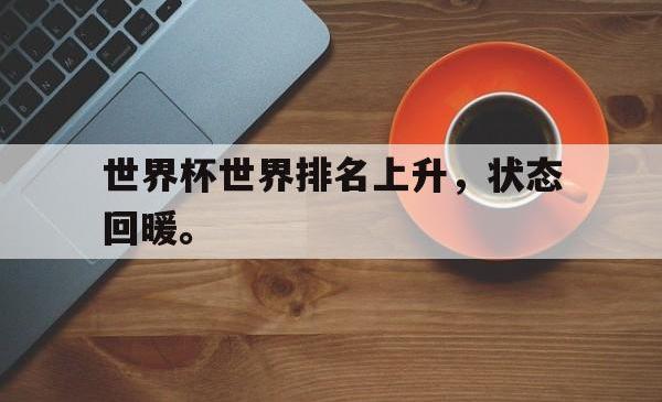 半岛体育官方入口-世界杯世界排名上升，状态回暖。