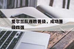 半岛体育官方入口-爱尔兰队连胜晋级，成功晋级四强