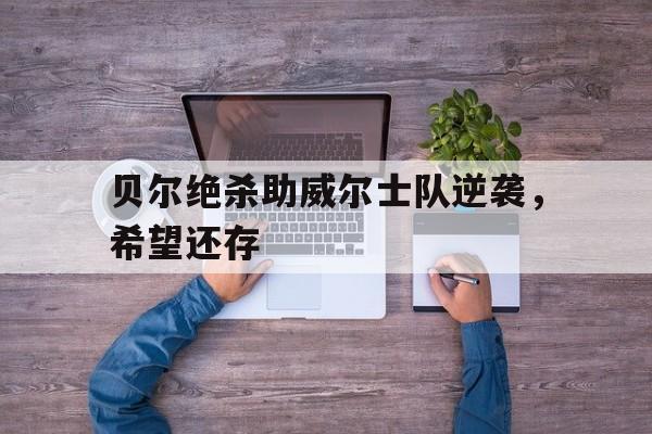 贝尔绝杀助威尔士队逆袭，希望还存